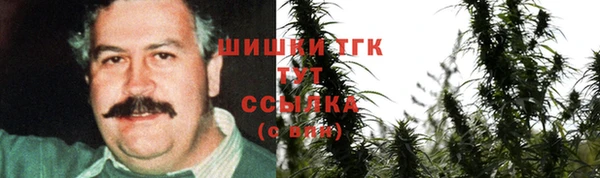 шишки Алексин