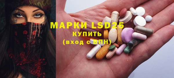 шишки Алексин