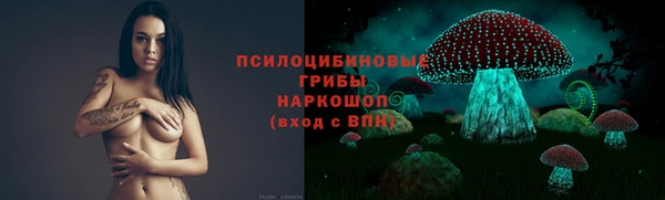 шишки Алексин