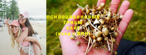 шишки Алексин