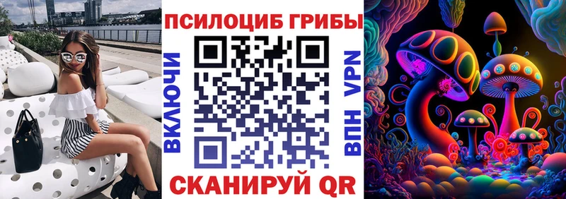 Псилоцибиновые грибы прущие грибы это Telegram Советская Гавань